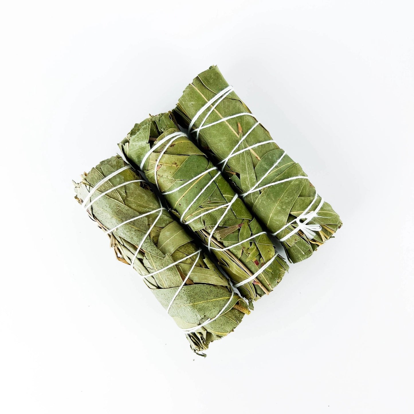 Smudge Eucalyptus Stick